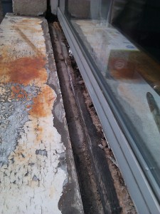 IMAG0027