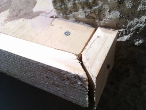 IMAG0033