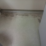 Mmmm a mouldy bathroom floor - well worth it.