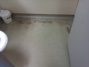 Mmmm a mouldy bathroom floor - well worth it.