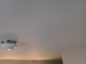 Ceiling plaster with what looks like claw marks.... Was there a werewolf in here?
