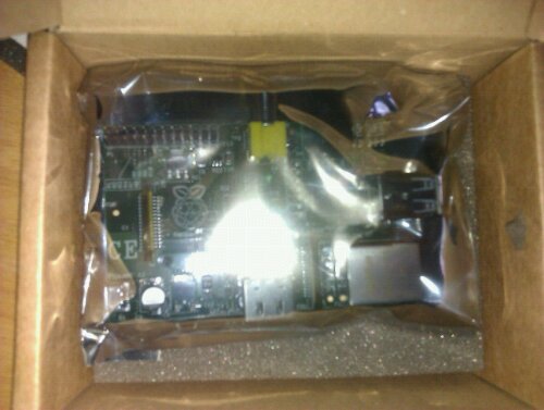 Raspberry Pi in it's baggy